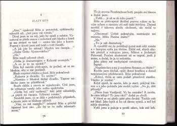 Michail Afanas'jevič Bulgakov: Divadelní román