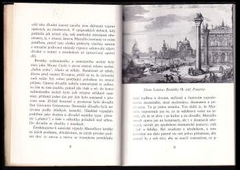 Benedetto Marcello: Divadlo podle módy