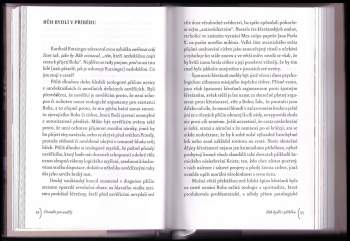 Tomáš Halík: Divadlo pro anděly