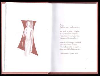 Miroslav Matouš: Dívčí meditace nad bděním i snem