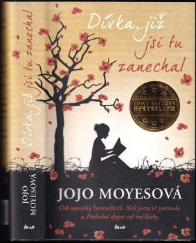 Jojo Moyes: Dívka, již jsi tu zanechal