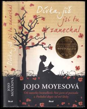 Dívka, již jsi tu zanechal