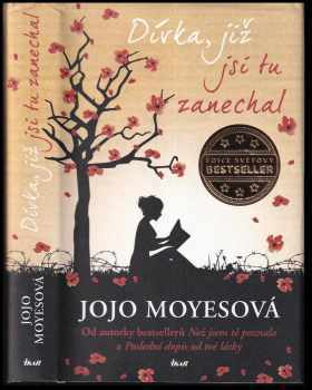 Jojo Moyes: Dívka, již jsi tu zanechal