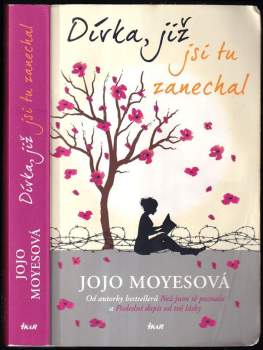 Jojo Moyes: Dívka, již jsi tu zanechal
