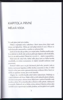 Andrew Mayne: Dívka pod hladinou