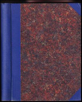 Dívka v modrém klobouku