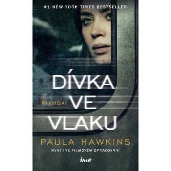 Dívka ve vlaku