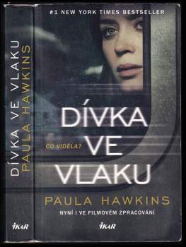Dívka ve vlaku