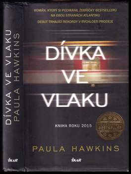 Dívka ve vlaku