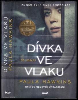 Dívka ve vlaku