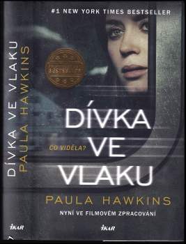 Dívka ve vlaku