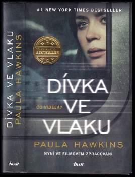 Dívka ve vlaku