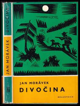 Divočina