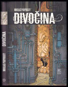 Divočina