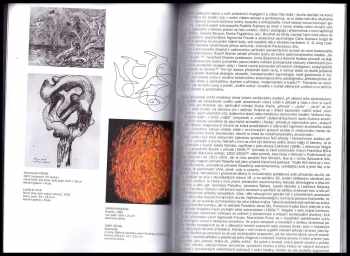 Divočina - příroda, duše, jazyk