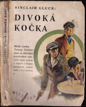 Divoká kočka