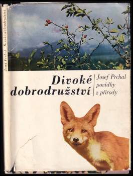 Divoké dobrodružství
