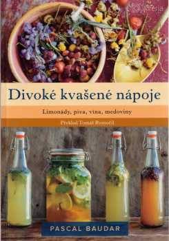 Divoké kvašené nápoje
