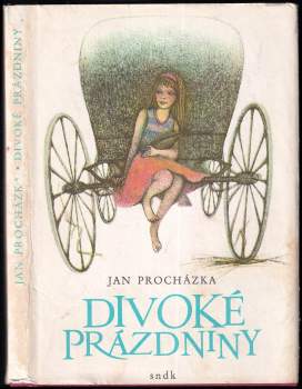 Divoké prázdniny