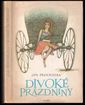 Divoké prázdniny