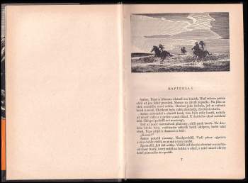 Nora Szczepańska: Divoký Anda