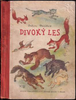Divoký les