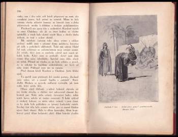 Karl May: Divokým Kurdistanem