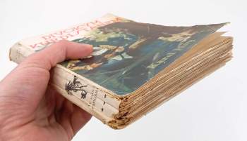 Karl May: Divokým Kurdistanem