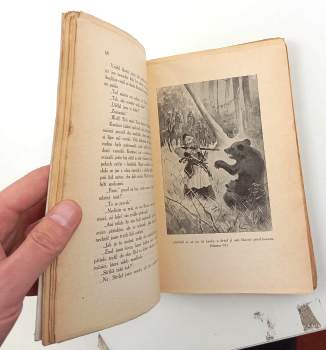 Karl May: Divokým Kurdistanem