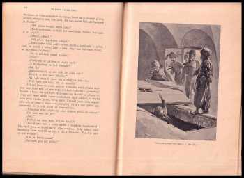 Karl May: Divokým Kurdistanem