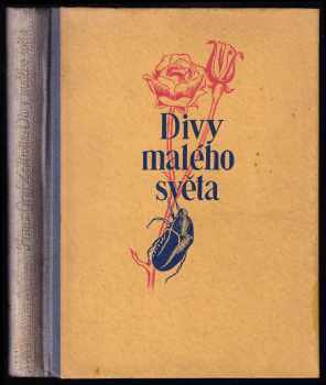 Divy malého světa