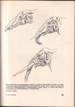 Josef Augusta: Divy prasvěta