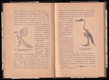 Karl Wilhelm Neumann: Divy prasvěta