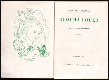 Bohuslav Pernica: Dlouhá louka