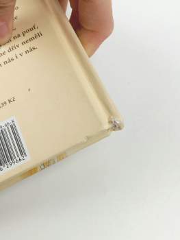 Michael Ende: Dlouhá pouť do Santa Cruz