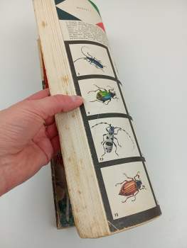 Jaroslav Foglar: Dlouhý lovec