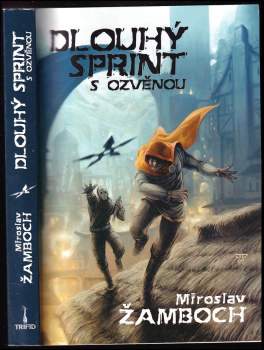 Dlouhý sprint s ozvěnou