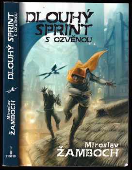 Dlouhý sprint s ozvěnou