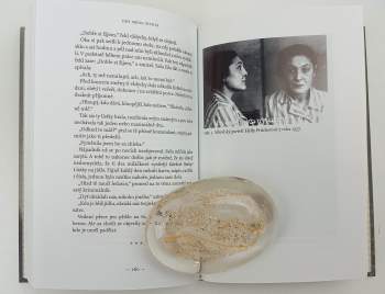 Helena Frischerová: Dny mého života