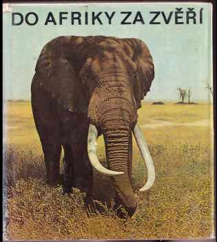 Do Afriky za zvěří