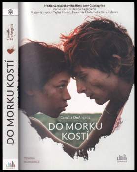 Camille DeAngelis: Do morku kostí