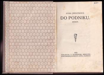 Anna Nora Jiroušková: Do podniku