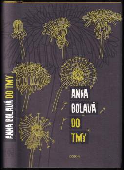 Anna Bolavá: Do tmy