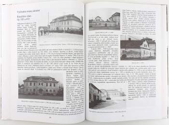 Petr Kadlec: Dobříš v proměnách