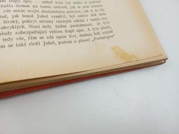 Jules Verne: Dobrodružná závěť