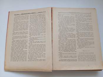 Dobrodružný svět 1931 - ročník V. - čísla 1 - 38  ILUSTRACE ZDENĚK BURIAN