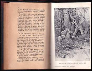 Jules Verne: Dobrodružství 3 Rusův a 3 Angličanů v jižní Africe