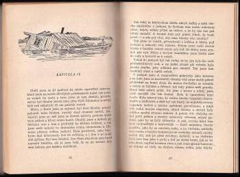 Mark Twain: Dobrodružství Huckleberryho Finna