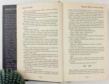 Juraj Červenák: Dobrodružství kapitána Báthoryho