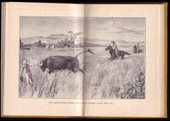 Bengt Berg: Dobrodružství lovců nosorožců